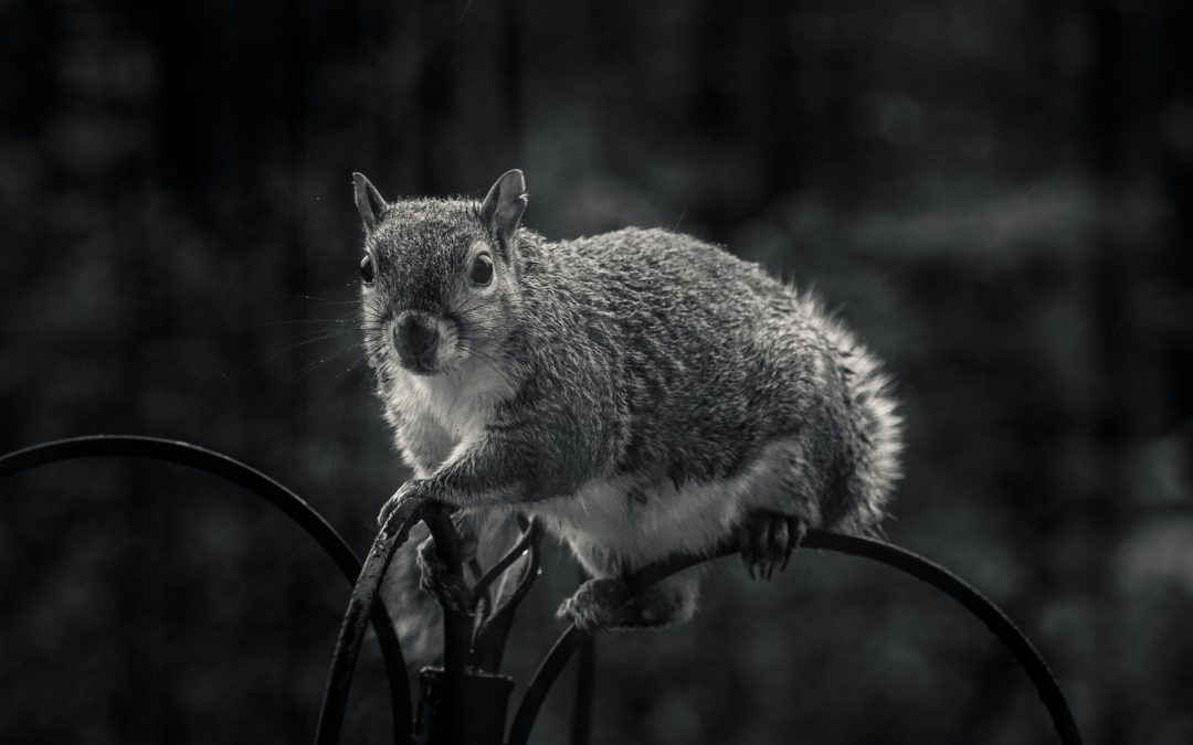 Impostor syndróm – syndróm podvodníka